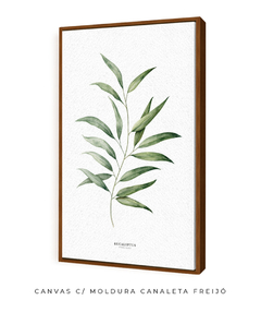 Quadro Decorativo Eucalyptus - comprar online