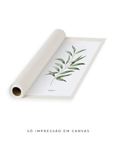 Quadro Decorativo Eucalyptus - Flowersjuls - Quadros decorativos botânicos | Aquarelas autorais