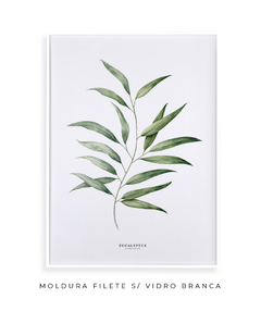 Quadro Decorativo Eucalyptus - comprar online