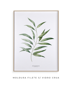 Quadro Decorativo Eucalyptus