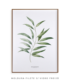 Imagem do Quadro Decorativo Eucalyptus