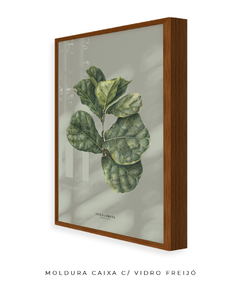 Quadro Decorativo Ficus Lyrata - Fundo Pistacchio na internet