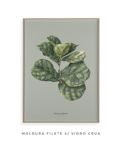 Quadro Decorativo Ficus Lyrata - Fundo Pistacchio - comprar online