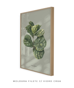 Quadro Decorativo Ficus Lyrata - Fundo Pistacchio - loja online