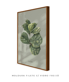 Quadro Decorativo Ficus Lyrata - Fundo Pistacchio - Flowersjuls - Quadros decorativos botânicos | Aquarelas autorais