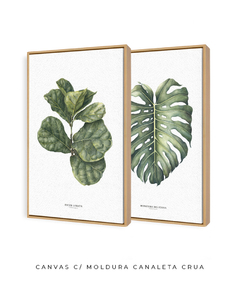 Quadro Decorativo Ficus Lyrata + Monstera Deliciosa - loja online