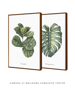 Imagem do Quadro Decorativo Ficus Lyrata + Monstera Deliciosa