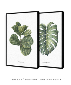 Quadro Decorativo Ficus Lyrata + Monstera Deliciosa