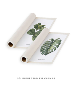 Quadro Decorativo Ficus Lyrata + Monstera Deliciosa - comprar online