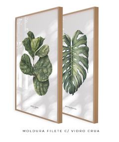 Imagem do Quadro Decorativo Ficus Lyrata + Monstera Deliciosa