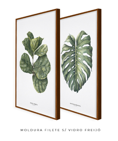 Imagem do Quadro Decorativo Ficus Lyrata + Monstera Deliciosa