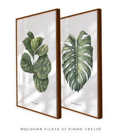 Quadro Decorativo Ficus Lyrata + Monstera Deliciosa - comprar online