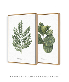 Quadro Decorativo - Flowersjuls - Quadros decorativos botânicos | Aquarelas autorais