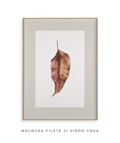 Quadro Decorativo Folha Eucalipto Inverno II