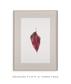 Quadro Decorativo Folha Eucalipto Inverno V