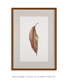 Quadro Decorativo Folha Eucalipto Inverno VIII - comprar online