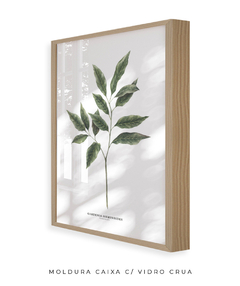 Quadro Decorativo Galho Jasmim Gardênia