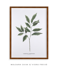 Quadro Decorativo Galho Jasmim Gardênia - comprar online