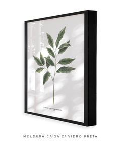 Quadro Decorativo Galho Jasmim Gardênia - loja online