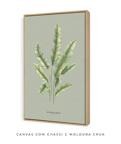Quadro Decorativo Heliconia Bihai - Fundo Pistacchio - Flowersjuls - Quadros decorativos botânicos | Aquarelas autorais
