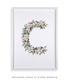 QUADRO DECORATIVO LETRA BOTÂNICA C - Flowersjuls - Quadros decorativos botânicos | Aquarelas autorais