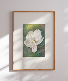 Quadro Decorativo Magnolia l