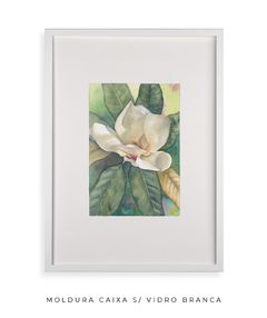 Quadro Decorativo Magnolia ll - Flowersjuls - Quadros botânicos decorativos | Aquarelas autorais