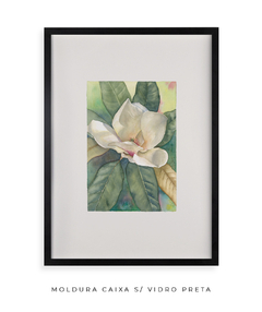 Quadro Decorativo Magnolia ll - Flowersjuls - Quadros botânicos decorativos | Aquarelas autorais