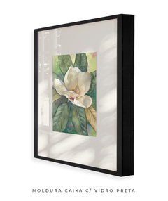 Quadro Decorativo Magnolia ll - loja online