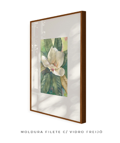 Quadro Decorativo Magnolia ll - Flowersjuls - Quadros botânicos decorativos | Aquarelas autorais