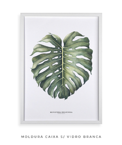 Quadro Decorativo Monstera Deliciosa - Flowersjuls - Quadros decorativos botânicos | Aquarelas autorais