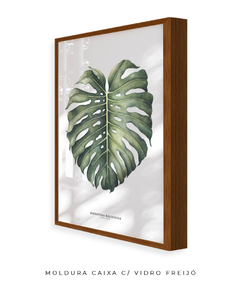 Quadro Decorativo Monstera Deliciosa na internet