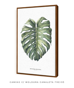 Quadro Decorativo Monstera Deliciosa - Flowersjuls - Quadros decorativos botânicos | Aquarelas autorais