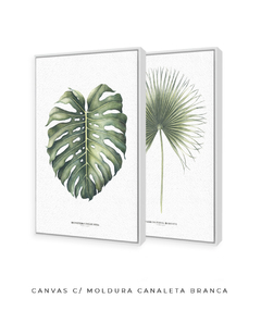 Quadro Decorativo Monstera Deliciosa + Palmeira Leque - Flowersjuls - Quadros decorativos botânicos | Aquarelas autorais
