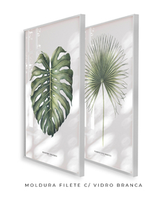 Quadro Decorativo Monstera Deliciosa + Palmeira Leque - Flowersjuls - Quadros decorativos botânicos | Aquarelas autorais