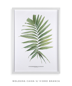 Quadro decorativo Palm Elegans - Flowersjuls - Quadros decorativos botânicos | Aquarelas autorais