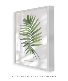 Quadro decorativo Palm Elegans - loja online