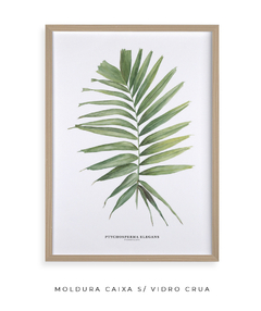 Imagem do Quadro decorativo Palm Elegans