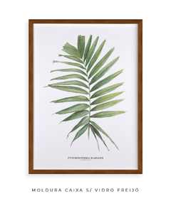 Quadro decorativo Palm Elegans - comprar online