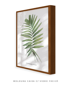 Quadro decorativo Palm Elegans na internet