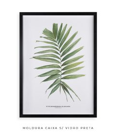 Quadro decorativo Palm Elegans - Flowersjuls - Quadros botânicos decorativos | Aquarelas autorais