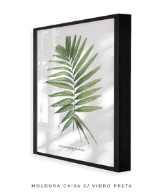 Quadro decorativo Palm Elegans - loja online