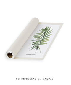 Quadro decorativo Palm Elegans - Flowersjuls - Quadros decorativos botânicos | Aquarelas autorais