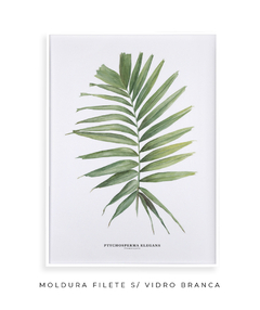 Quadro decorativo Palm Elegans - comprar online