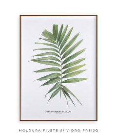 Quadro decorativo Palm Elegans - Flowersjuls - Quadros decorativos botânicos | Aquarelas autorais