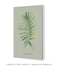 Quadro Decorativo Palm Elegans - Fundo Pistacchio - Flowersjuls - Quadros decorativos botânicos | Aquarelas autorais