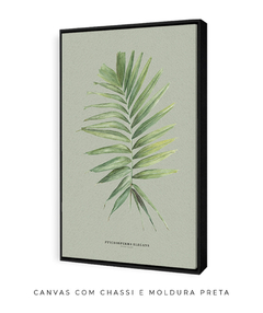 Quadro Decorativo Palm Elegans - Fundo Pistacchio - comprar online