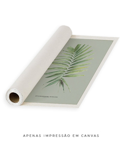 Quadro Decorativo Palm Elegans - Fundo Pistacchio