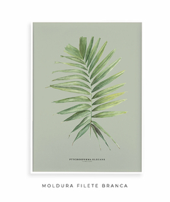 Quadro Decorativo Palm Elegans - Fundo Pistacchio - comprar online