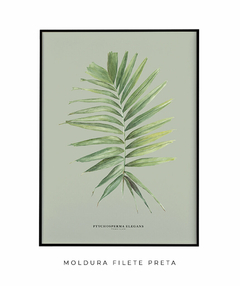 Quadro Decorativo Palm Elegans - Fundo Pistacchio - Flowersjuls - Quadros decorativos botânicos | Aquarelas autorais